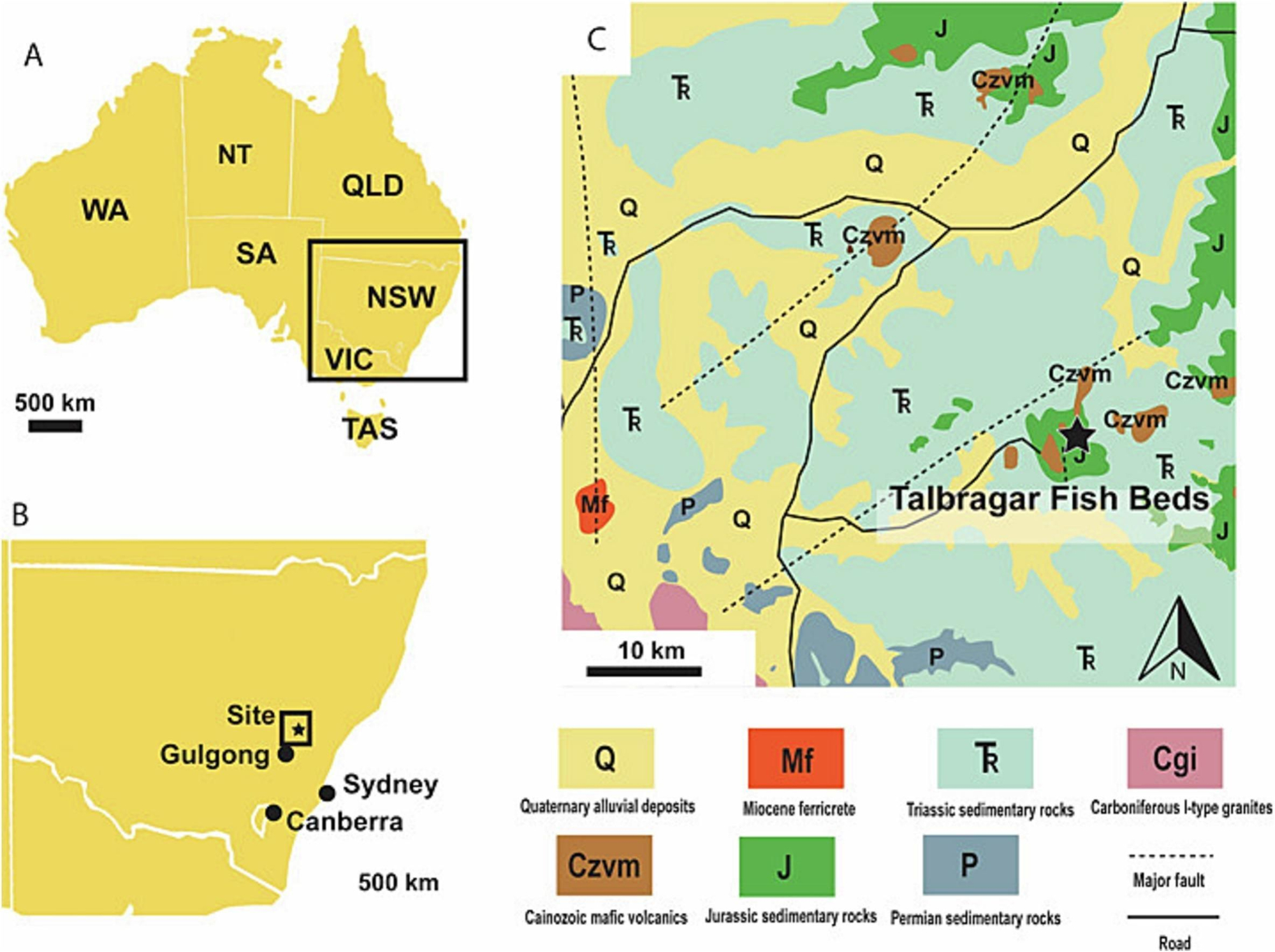 ( A y B) Ubicación del sitio en Nueva Gales del Sur, Australia. (C) Geología local cerca del sitio que muestra ferricreto del Mioceno y un extenso lecho rocoso mesozoico.