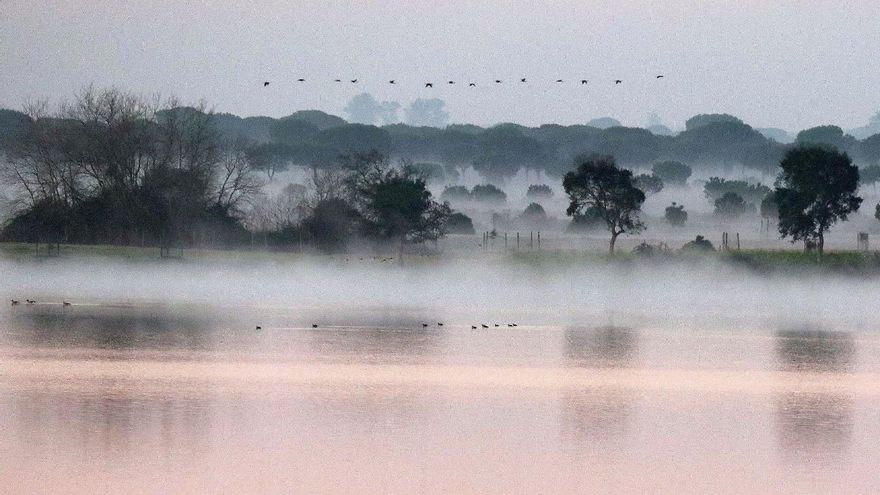 El Gobierno publica los requisitos de las ayudas para que los regantes de Doñana sustituyan cultivos por el uso forestal