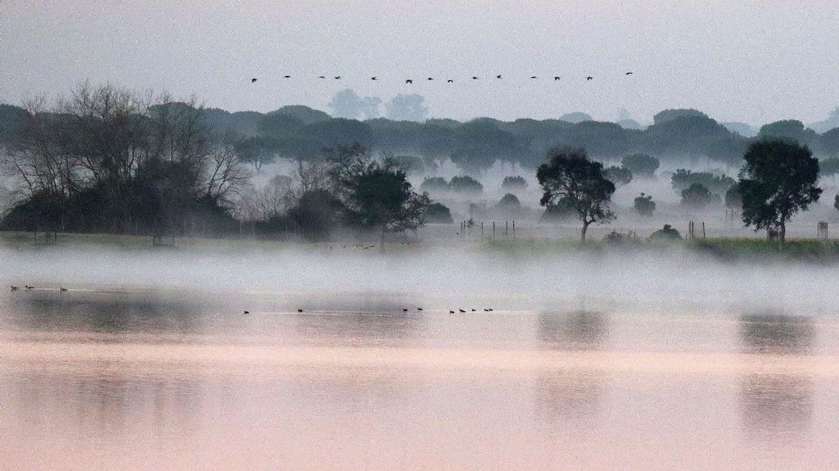 La Unesco vuelve a exigir a España que proteja mejor Doñana o la incluirá en su lista negra de patrimonio en peligro