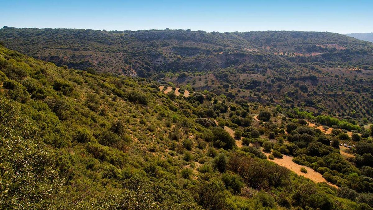 Rutas por la Alcarria madrileña.