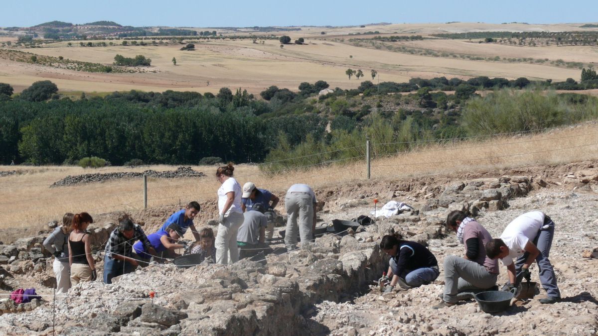 Trabajos de excavación en Recópolis