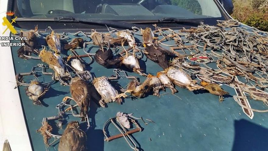 La Guardia Civil interviene 134 cepos de ballesta a dos cazadores furtivos en la comarca extremeña de La Serena