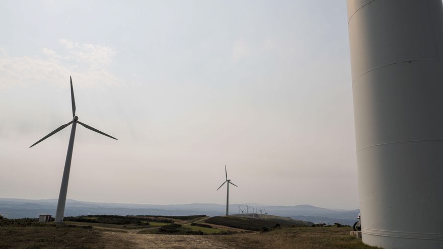Empresas eólicas: El proyecto de real decreto de avifauna "pone en jaque" el avance renovable