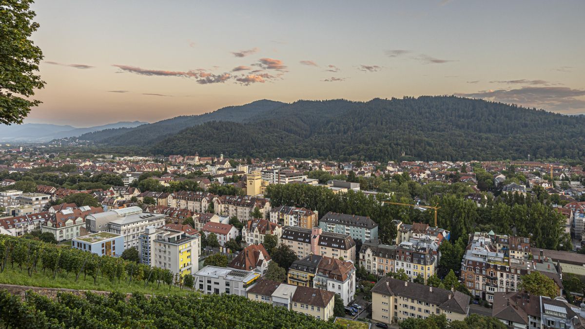 Freiburger FWTM, Freiburg Motive