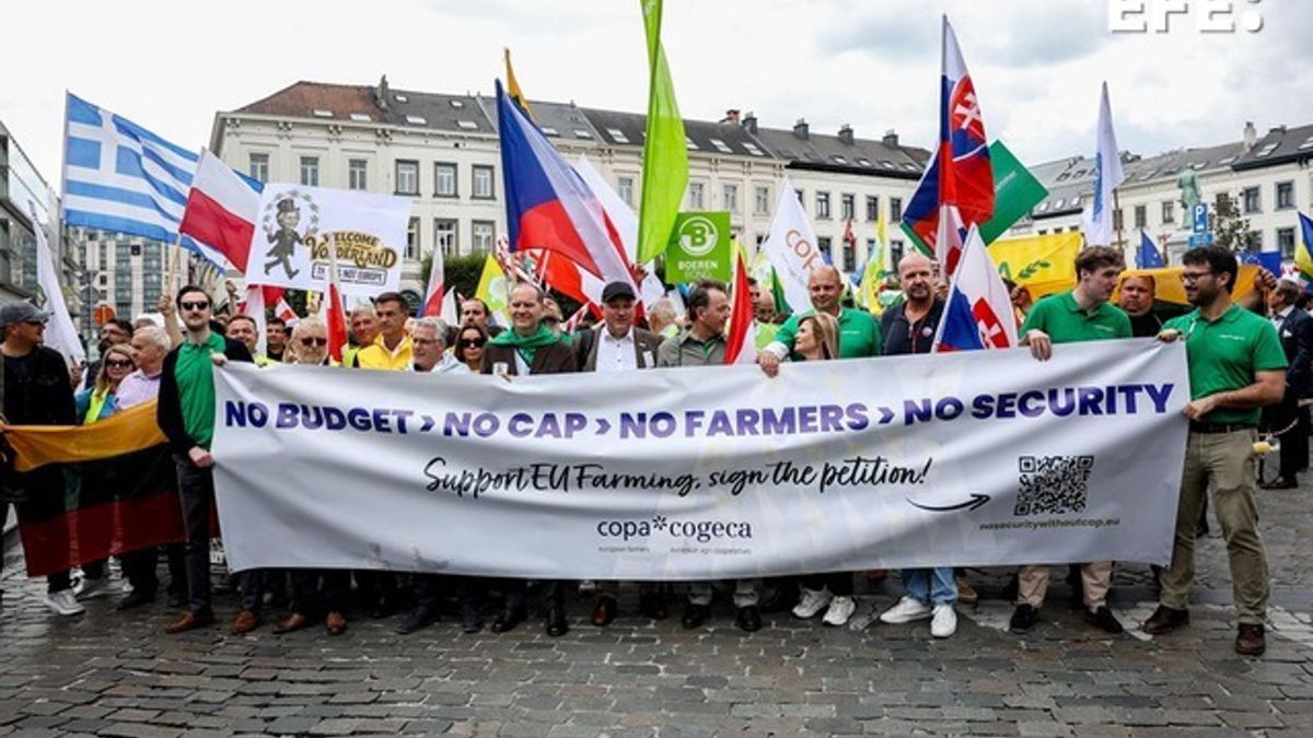 Un centenar de agricultores de Castilla-La Mancha acudirá este jueves a Bruselas  a la protesta contra Ursula von der Leyen