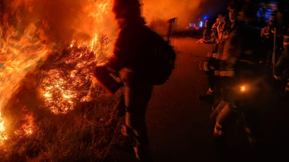 Bomberos forestales luchando contra el incendio de Vega de Valcarce esta noche.
