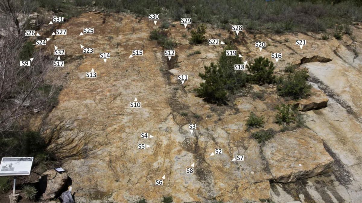 Los autores han explicado que, de alguna manera, los dinosaurios imitaban a Michael Jackson