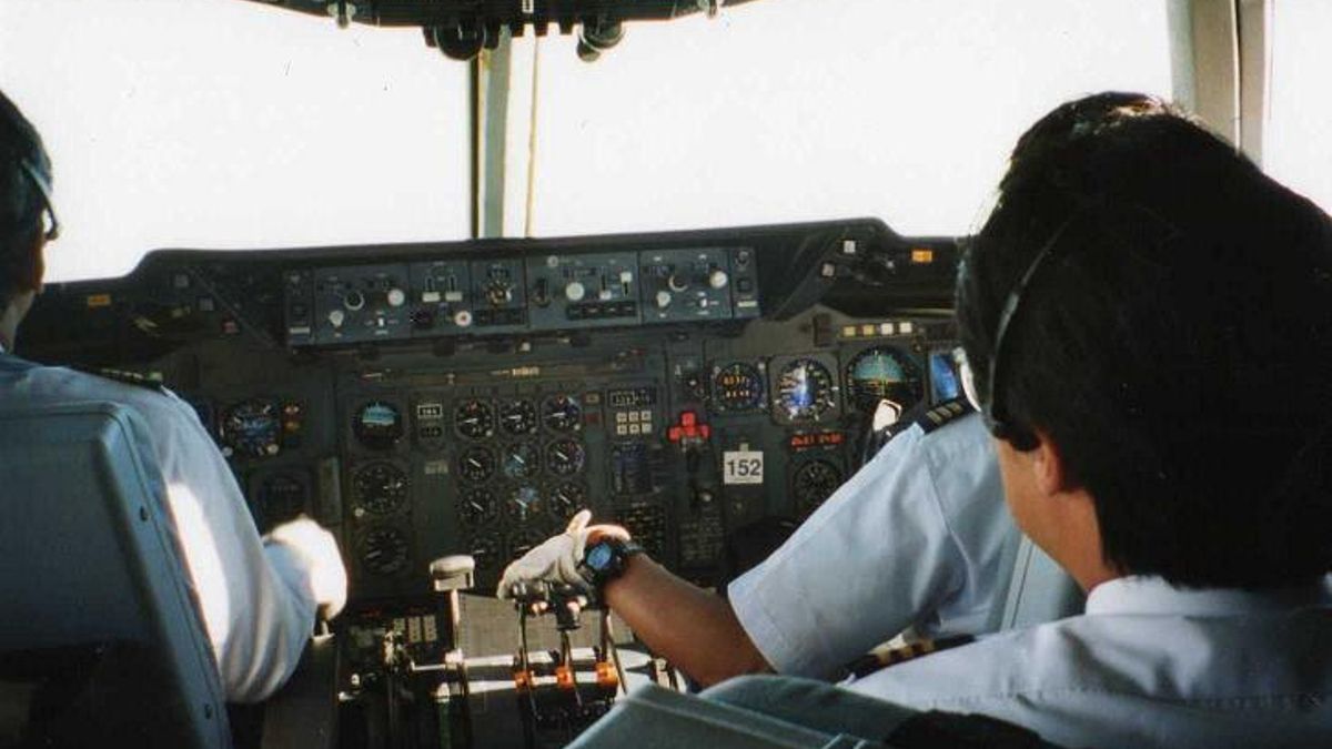 Piloto, Avión, Profesión