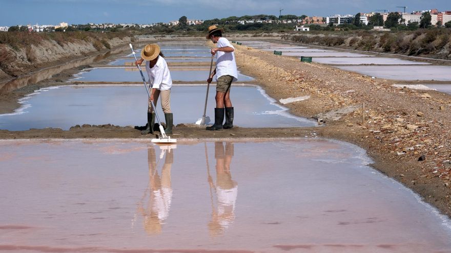 Salinas artesanales, un "tesoro escondido" en las marismas de Cádiz