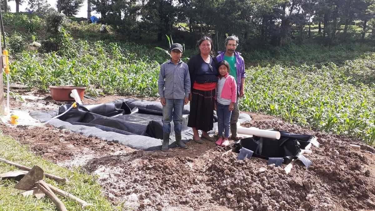 Los usuarios de la Red de Biodigestores están en su mayoría en comunidades campesinas e indígenas por lo que han aprovechado el uso de los biodigestores no solo como un acceso a la energía, sino también para mejorar sus cultivos y comercializar productos.