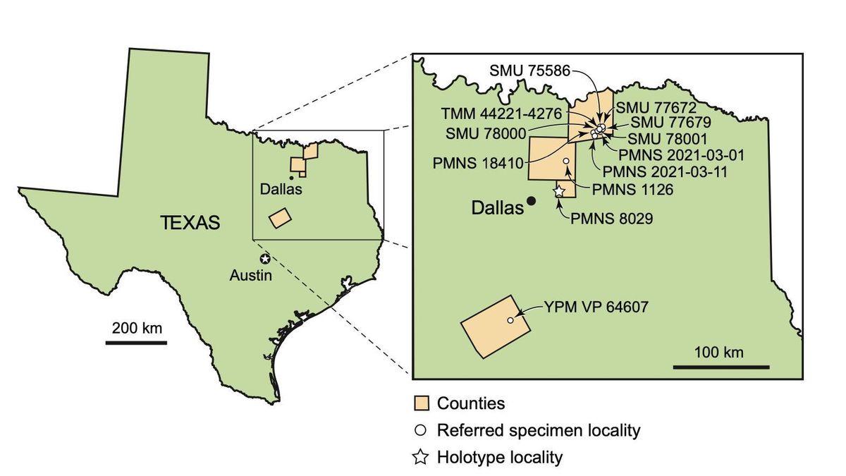 Mapa de Texas que muestra las localidades del holotipo y de algunos ejemplares a los que se hace referencia.