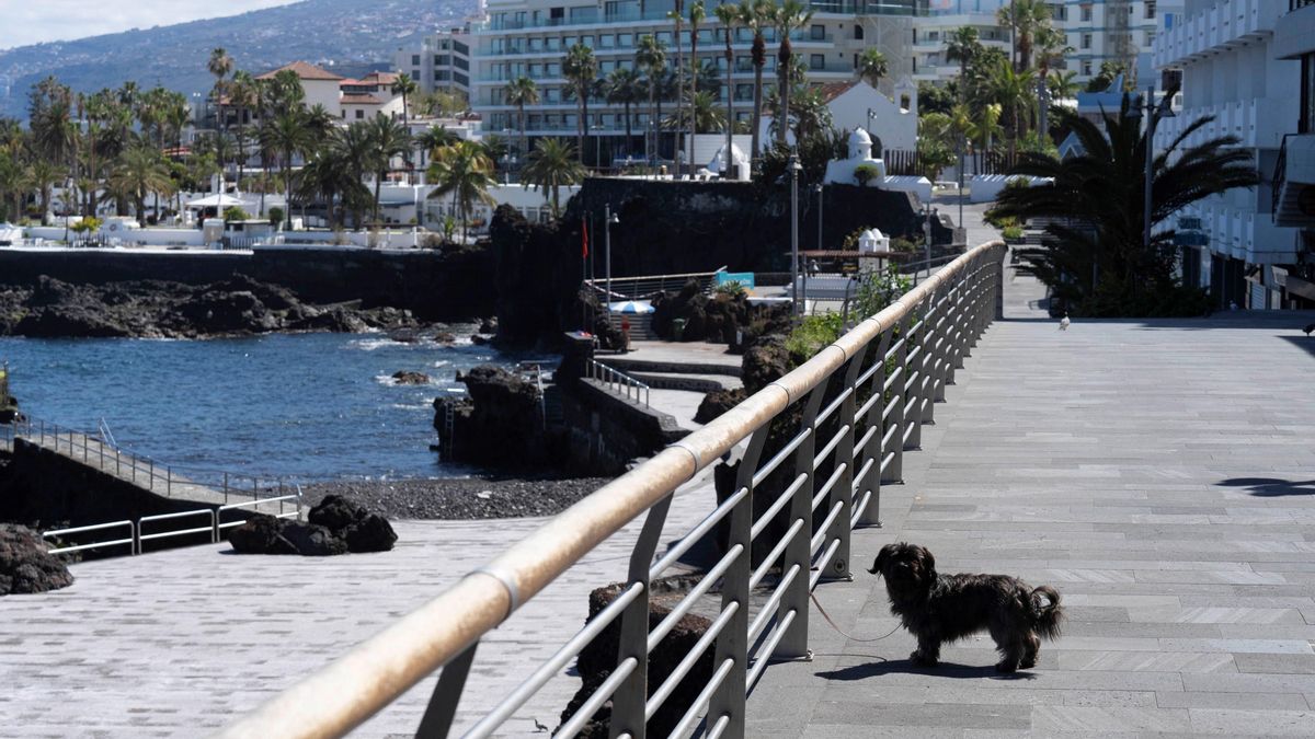 La céntrica calle San Telmo, de Puerto de la Cruz (Tenerife), abarrotada normalmente de turistas, desierta durante el estado de alarma por la pandemia de COVID