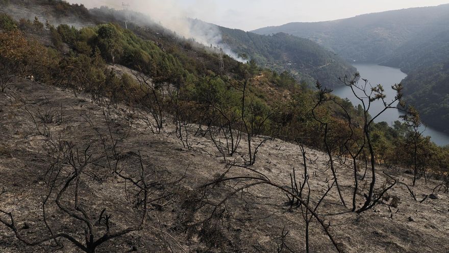 Área boscosa calcinada por el incendio de la parroquia de A Cova (Lugo) que afecta a unas 50 hectáreas y está prácticamente bajo control.