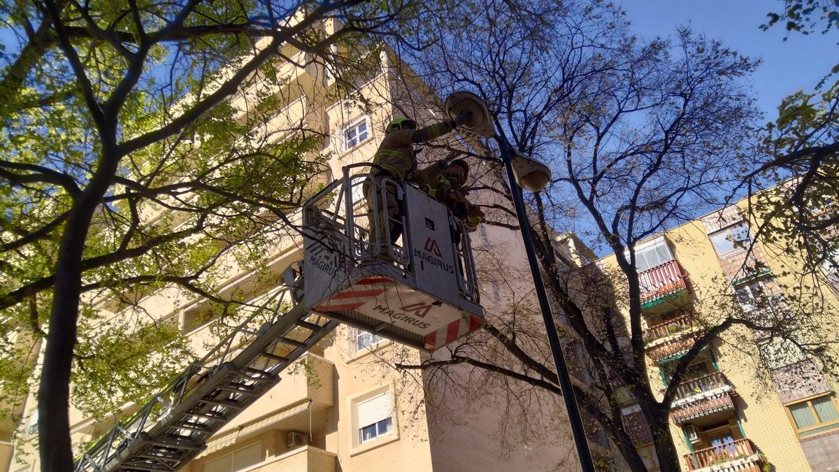 El fuerte viento obliga a activar en Zaragoza, por quinto día consecutivo, el Plan Municipal de Emergencias