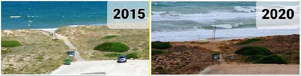Así han retrocedido las dunas de las playas del Saler en los últimos 5 años.