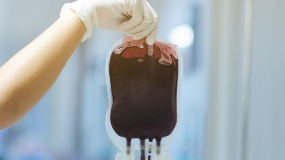 Los tres años más convulsos del banco de sangre de Canarias: tres directores, pérdida de plasma y un futuro incierto
