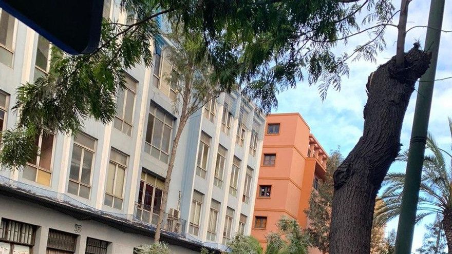 Caída de un árbol en Primero de Mayo.