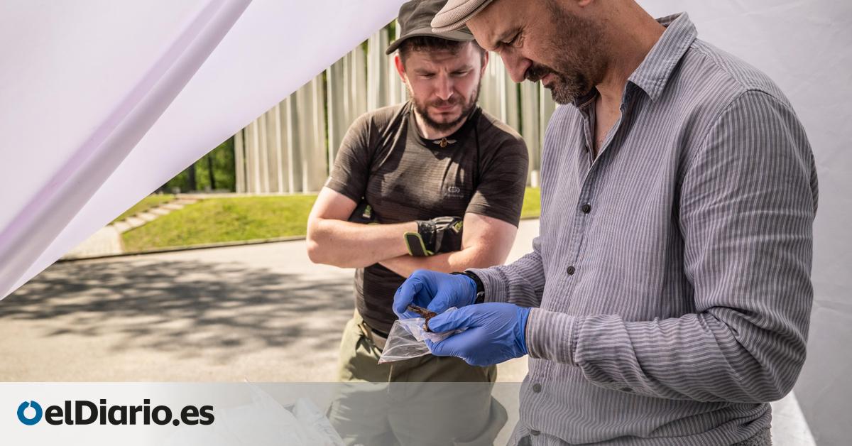 Alfredo González Ruibal “La arqueología no es solo tocar las cosas