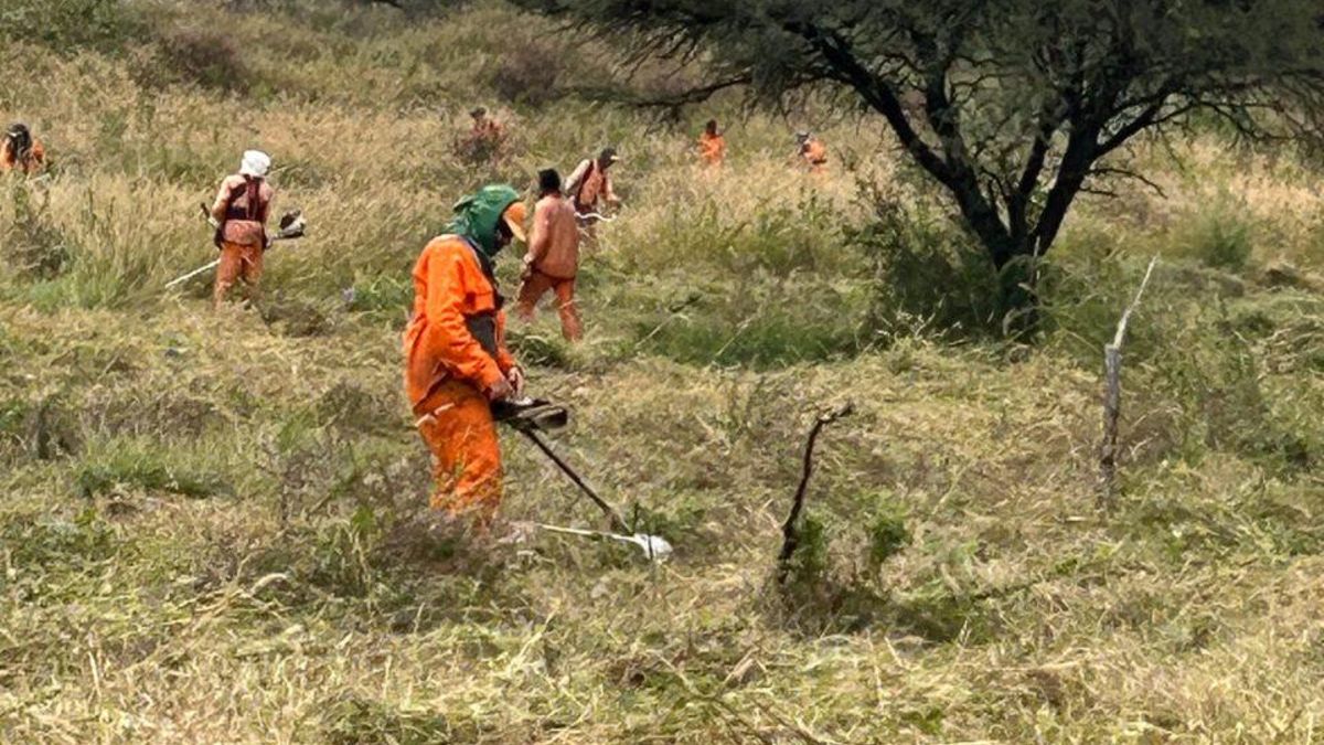 Desmalezamiento en el terreno de La Perla que este año el EAAF sigue rastrillando.