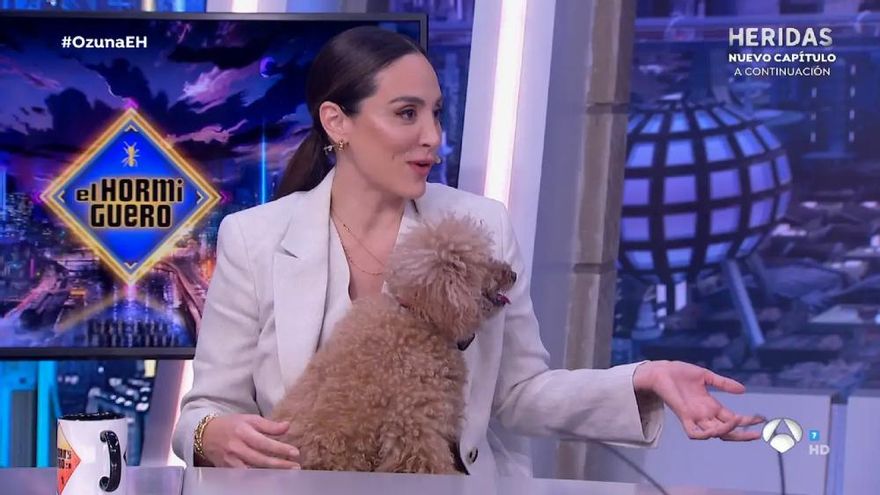 Jacinta, la perra de Tamara Falcó, reclamó el protagonismo de 'El Hormiguero' sobre las muletas de su dueña
