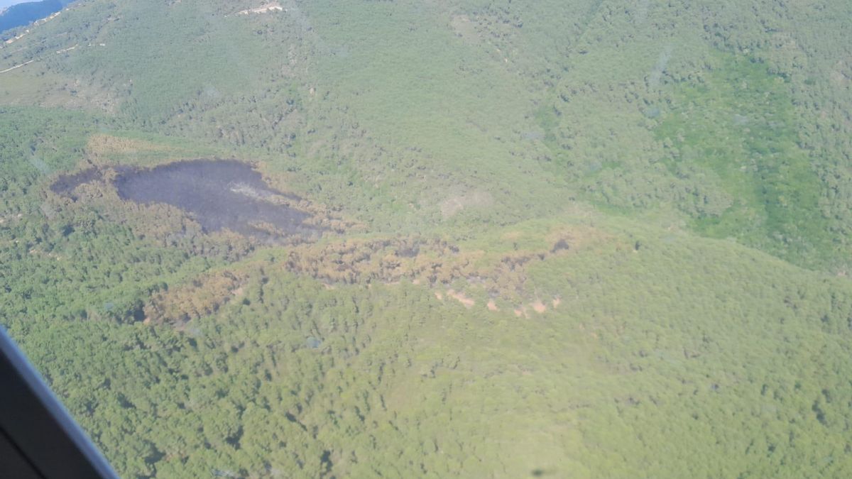 Una zona afectada por el incendio en Las Hurdes