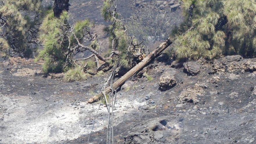 Parte de un tendido eléctrico calcinado por las llamas del incendio forestal en el municipio de Garafía en la isla de La Palma.