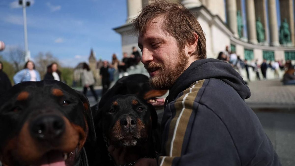 Marcell posa con sus perros horas antes del inicio de los conciertos en Budapest.