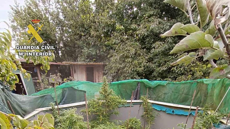 Marihuana en el huerto: descubren dos fincas de cultivo en Casalarreina cuando tres jóvenes intentaban robarlas