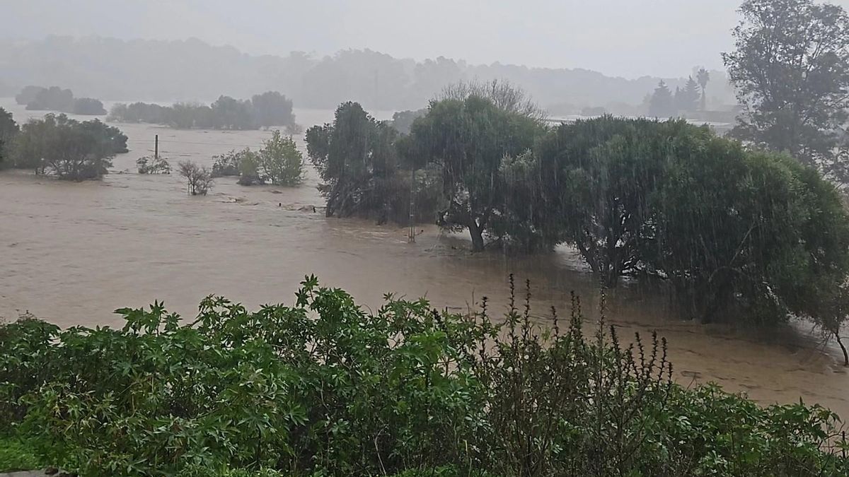 Zonas aisladas, carreteras cortadas y ríos desbordados: la borrasca se ensaña con Cádiz y Málaga a su paso por Andalucía