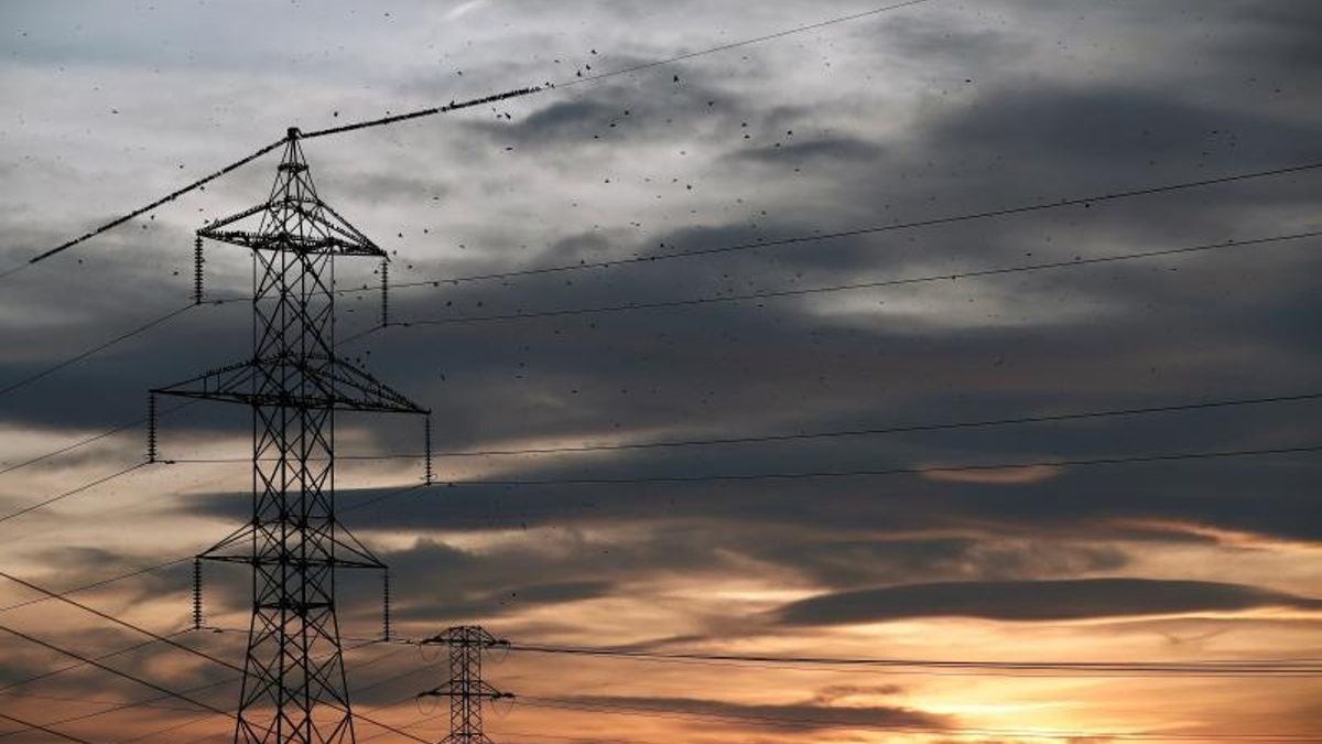 Los precios del 'grupo especial servicios Covid-19' subieron un 1,2% en junio respecto a mayo por al encarecimiento de la electricidad.