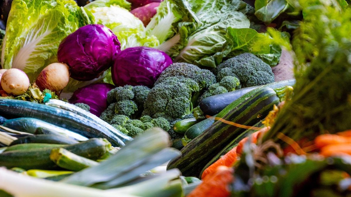 No basta con abaratar la comida: cómo transformar el sistema alimentario sin dejar a nadie atrás