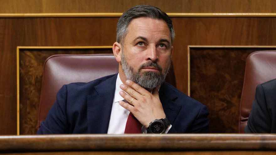 El líder de Vox, Santiago Abascal.