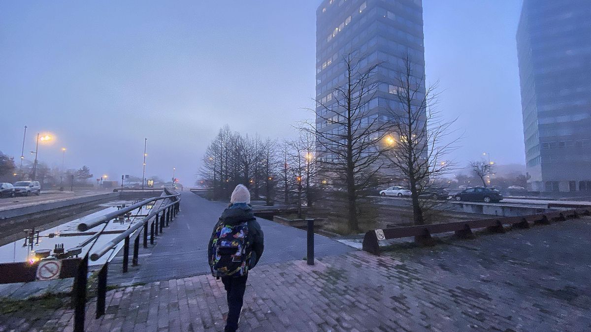 Es el cambio climático, estúpido