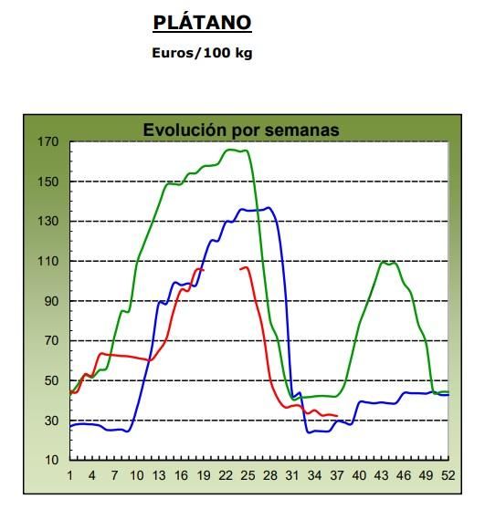 Evolución de los precios medios percibidos por el platanero canario en 2024 (marca azul), 2025 (verde) y 2026 (roja, hasta la semana 37). Fuente: MAPA.