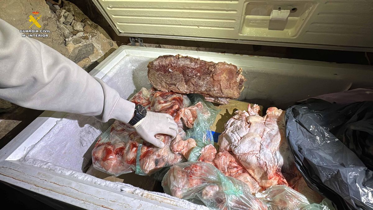 Les alimentaban con carne en mal estado