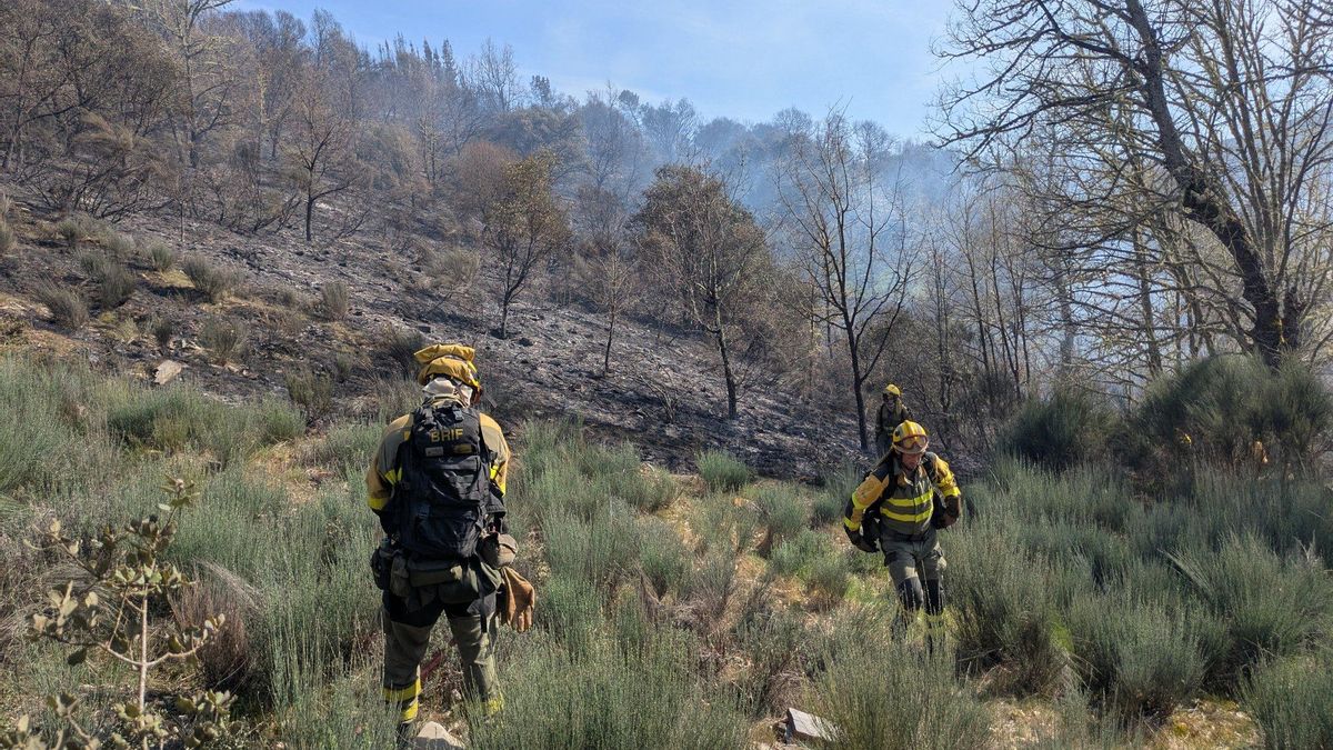 Una docena de medios aéreos y terrestres trabajan para apagar un incendio activo en San Martín de Moreda
