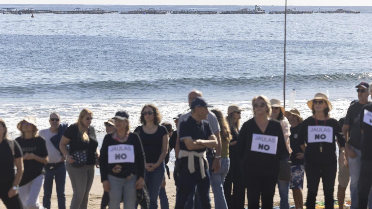 El órgano ambiental de Canarias pidió una segunda evaluación de las jaulas marinas de Telde que nunca se realizó
