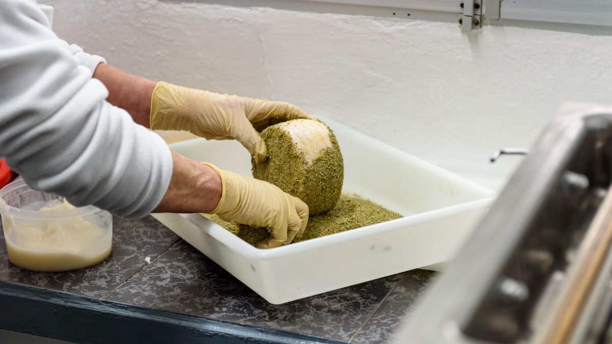 Quesería artesanal en La Celada, Iznájar. Subbética Cordobesa