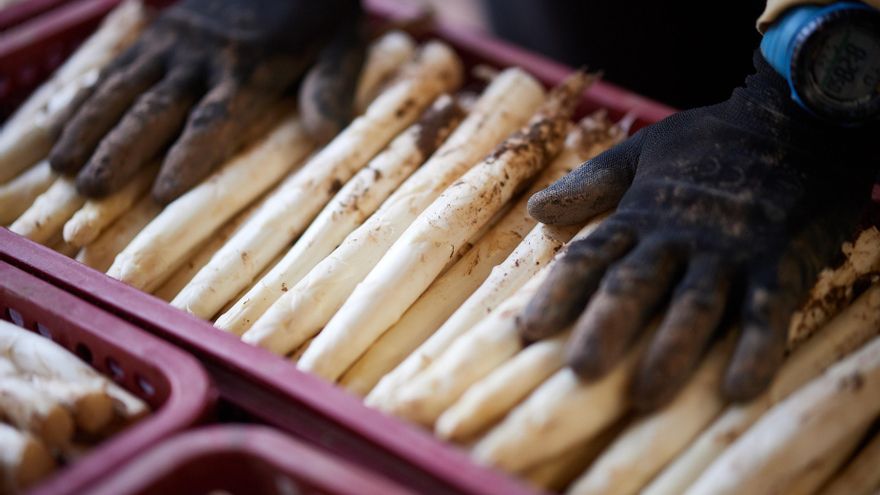 Un brote que afecta a 37 temporeros en la Ribera provoca un repunte de los contagios en Navarra