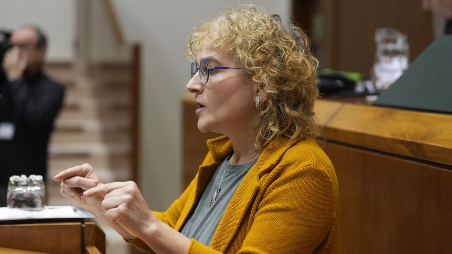 EH Bildu insiste en que el consejero vasco de Salud aclare si tiene datos del cáncer más actualizados que los de 2019