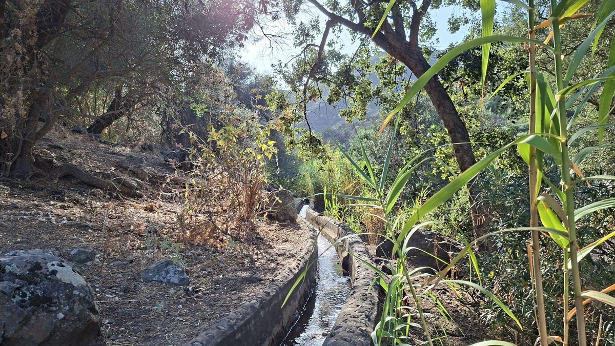 Estado actual del caudal a la altura del pozo a la entrada del Barranco de Los Cernícalos.