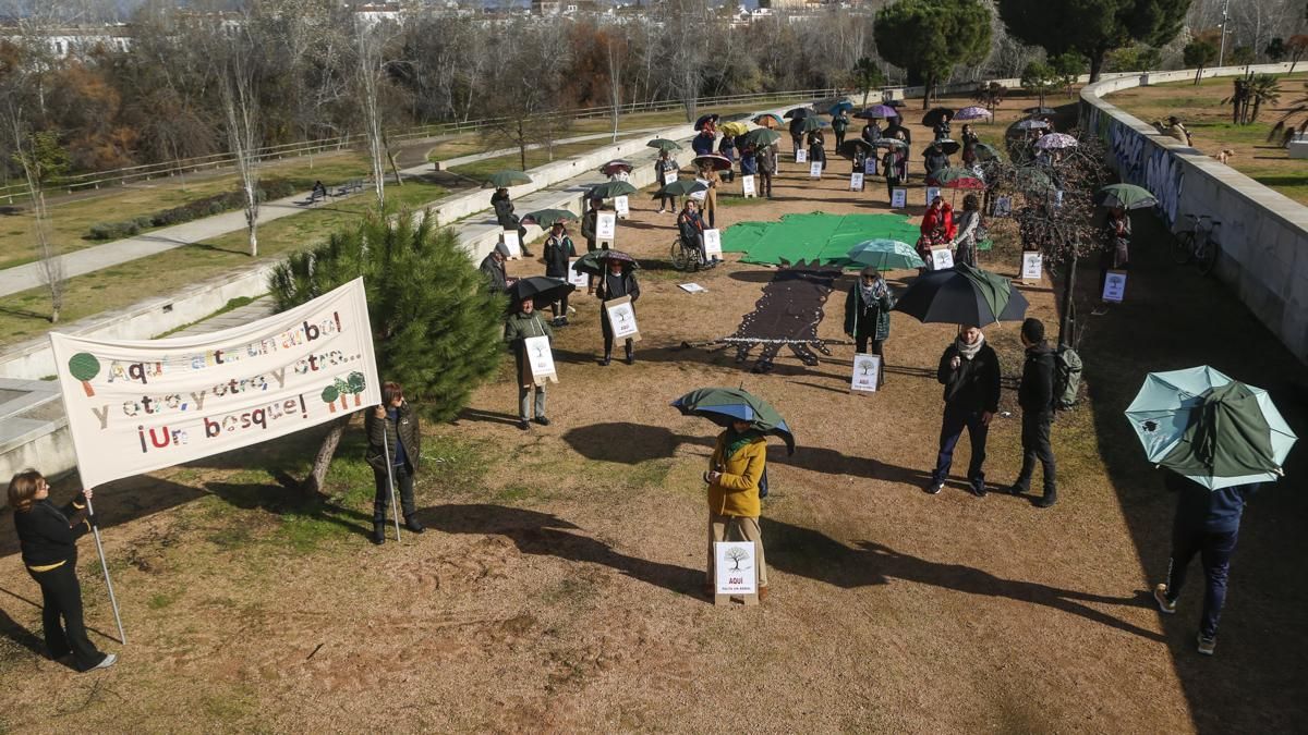 AAVV Axerquía y Regina-Magdalena realizan la actividad 'Aquí falta un árbol' en el Parque de Miraflores