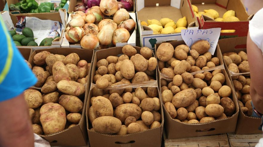 Imagen de archivo de papas en San Mateo (Gran Canaria)