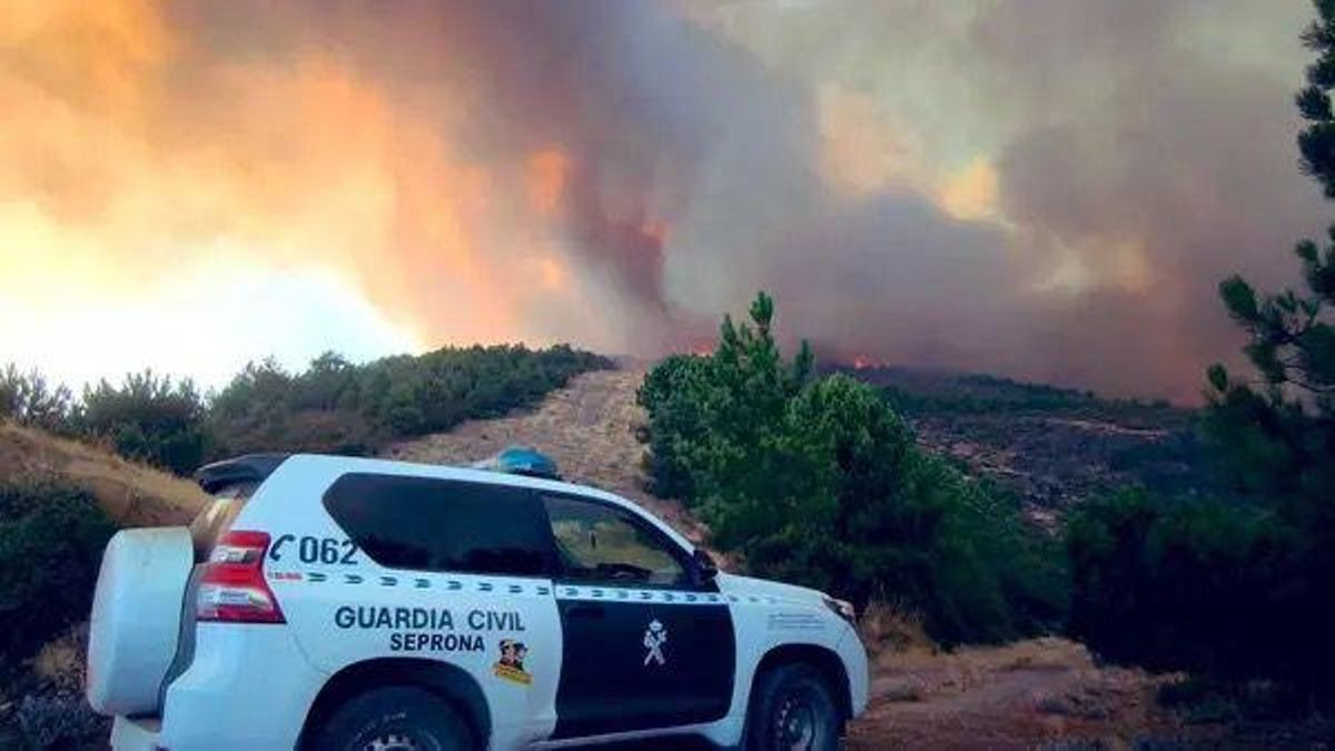 La Guardia Civil detiene a un hombre por el incendio de Zamora que ha quemado 4.000 hectáreas