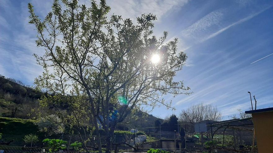 El tiempo en León hoy, 27 de mayo: la Aemet habla de cielos despejados y subida de las máximas