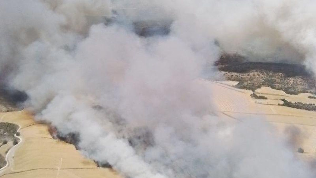Activado el nivel 2 de emergencia tras avanzar el incendio entre Tamarite y Alcampell (Huesca)