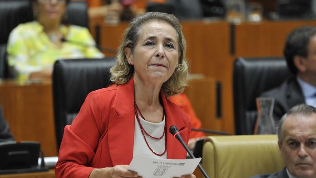 La consejera de Educación, Mercedes Vaquera, en el pleno de este jueves en la Asamblea