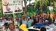 Imagen de la protesta, que se ha desarrollado en pleno centro de Sevilla, ante el consulado americano.
