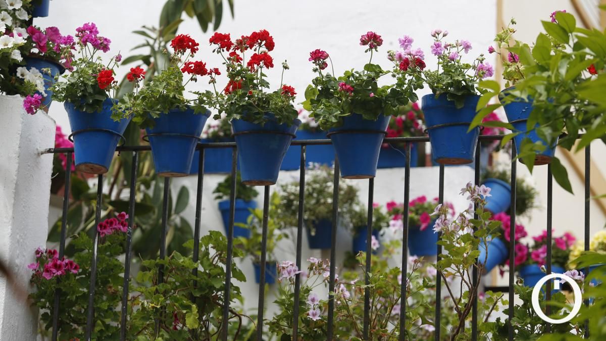 Patio en la C/ Tinte, 9