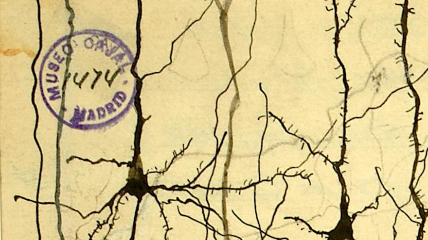 ¿Aberrante o necesario? La historia del feo sello azul que salvó los dibujos de Ramón y Cajal